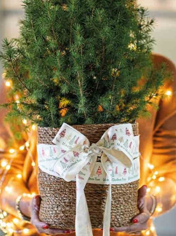 decoratief verpakkingsmateriaal Screenshot 27-6-2025 34420  1