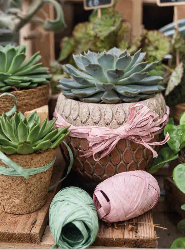 decoratief verpakkingsmateriaal Screenshot 27-6-2025 3455 