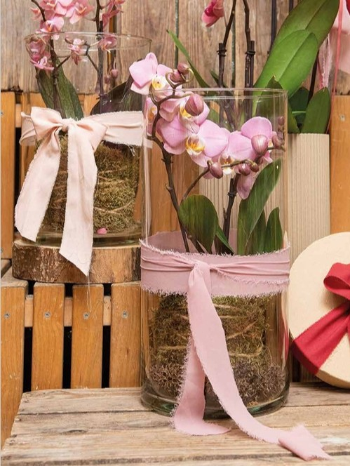 decoratief verpakkingsmateriaal Screenshot 30-6-2025 1244 