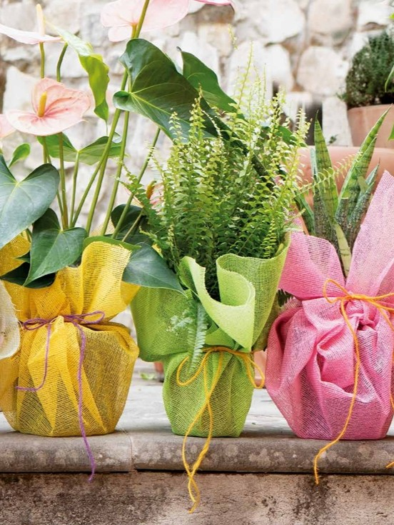 decoratief verpakkingsmateriaal Screenshot 30-6-2025 12524 